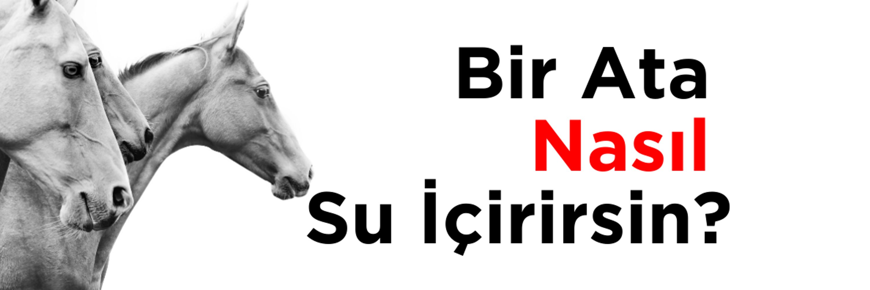 Dijital Pazarlama Uzmanı | Ali Osman ÖLMEZ