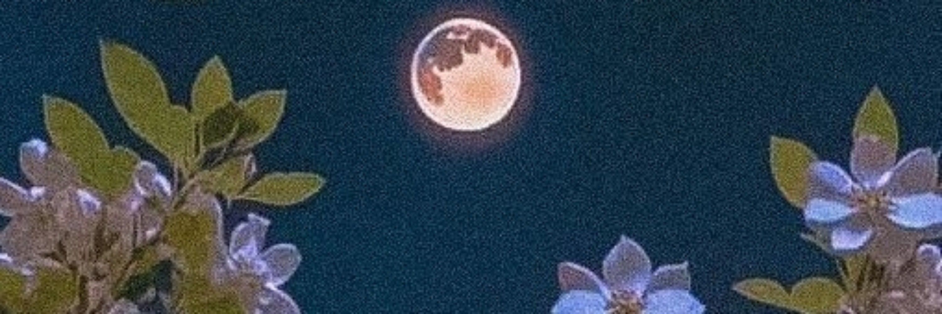 🌙