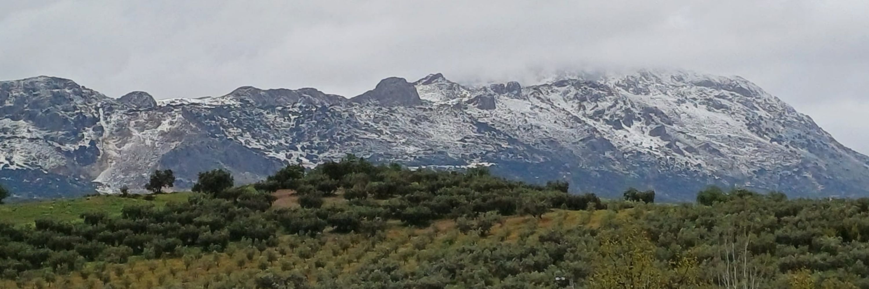 Andleba