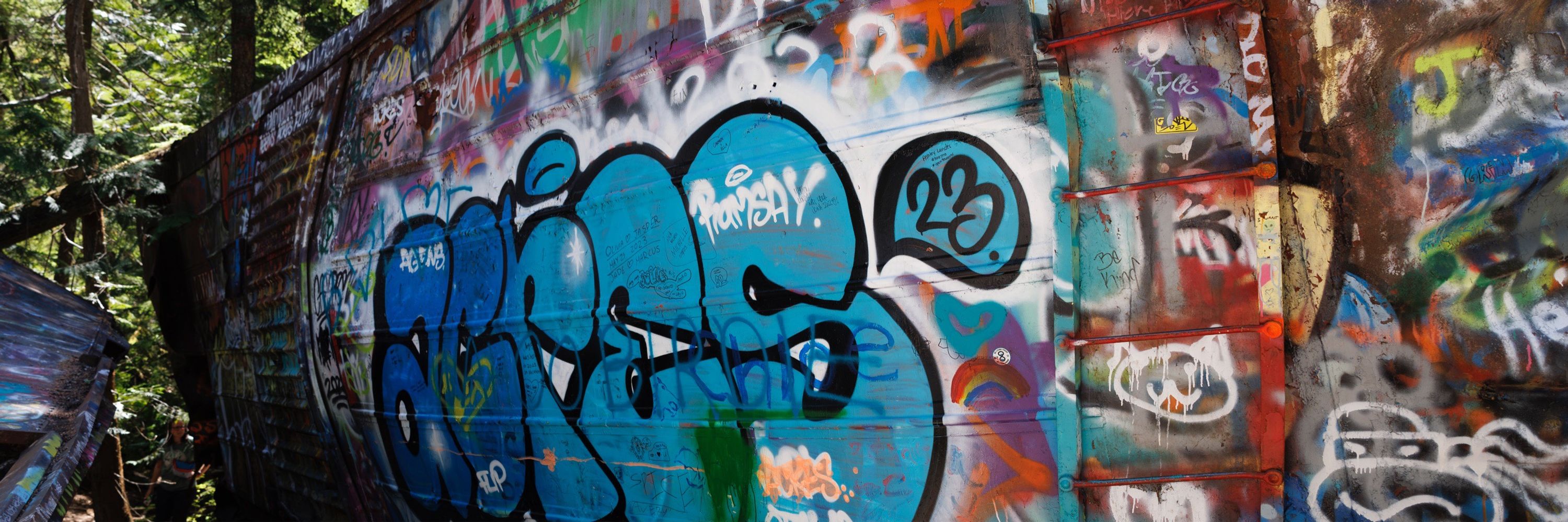 Skip
