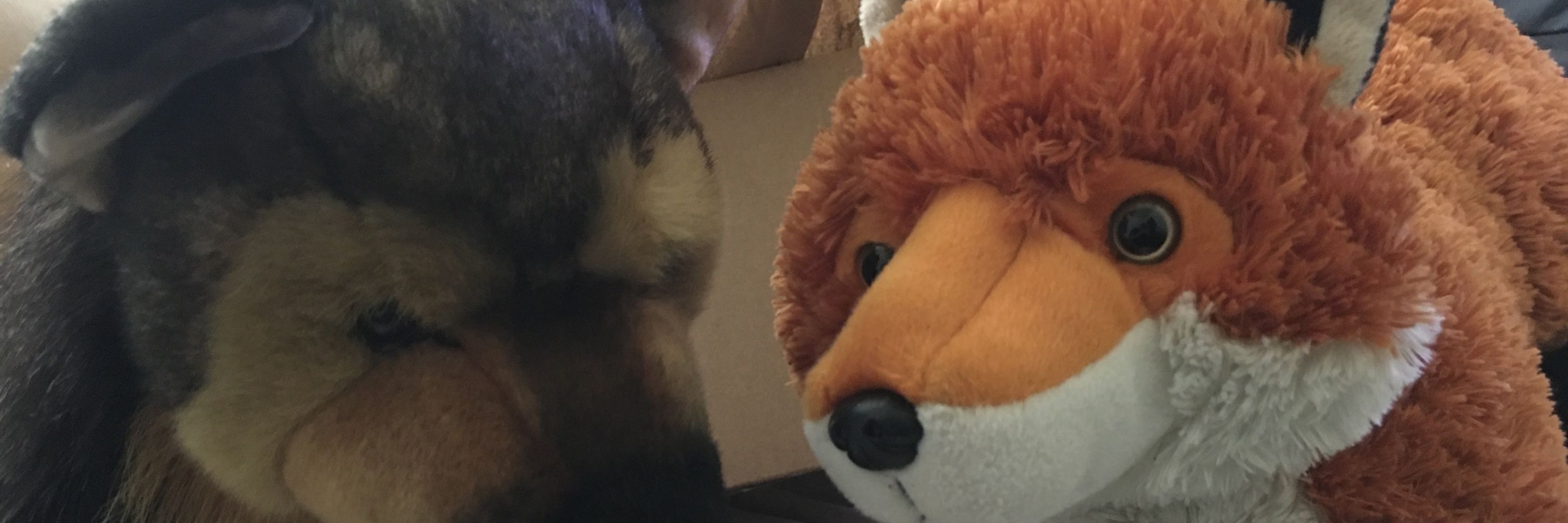 MerlinFox
