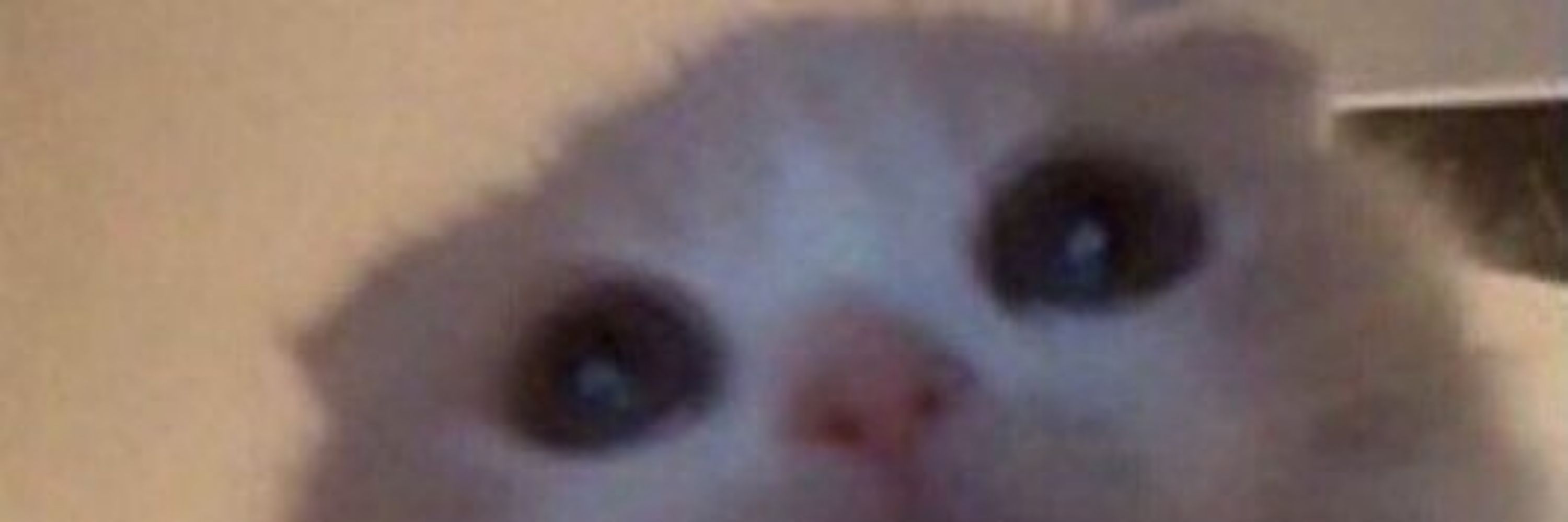 Mont