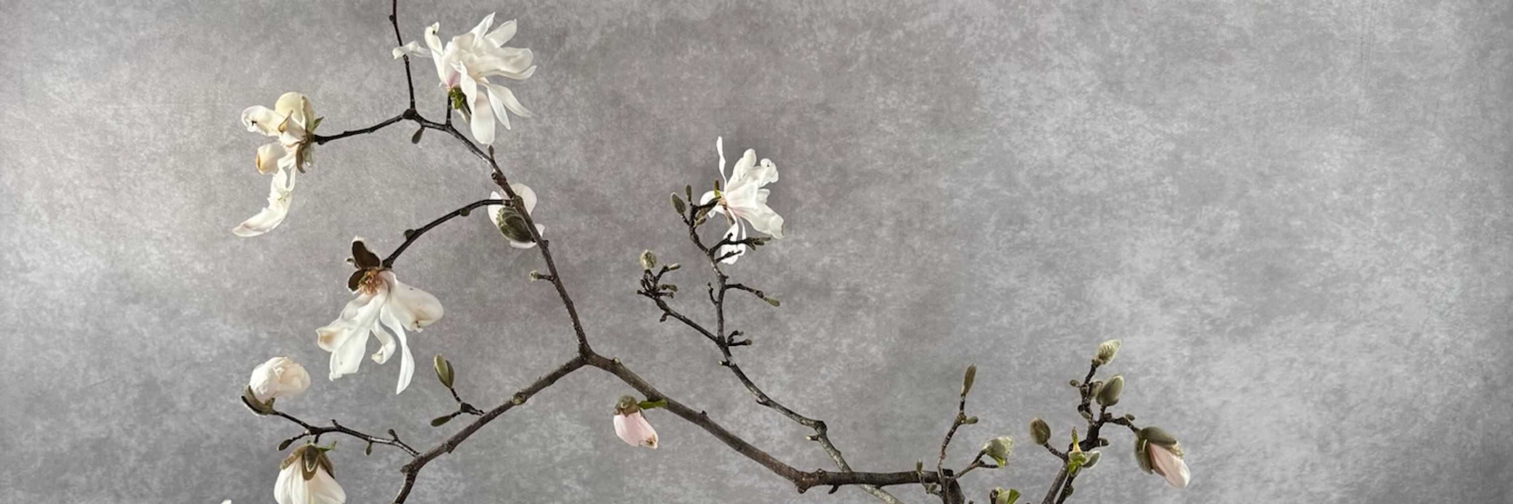 Ikebana Flowers