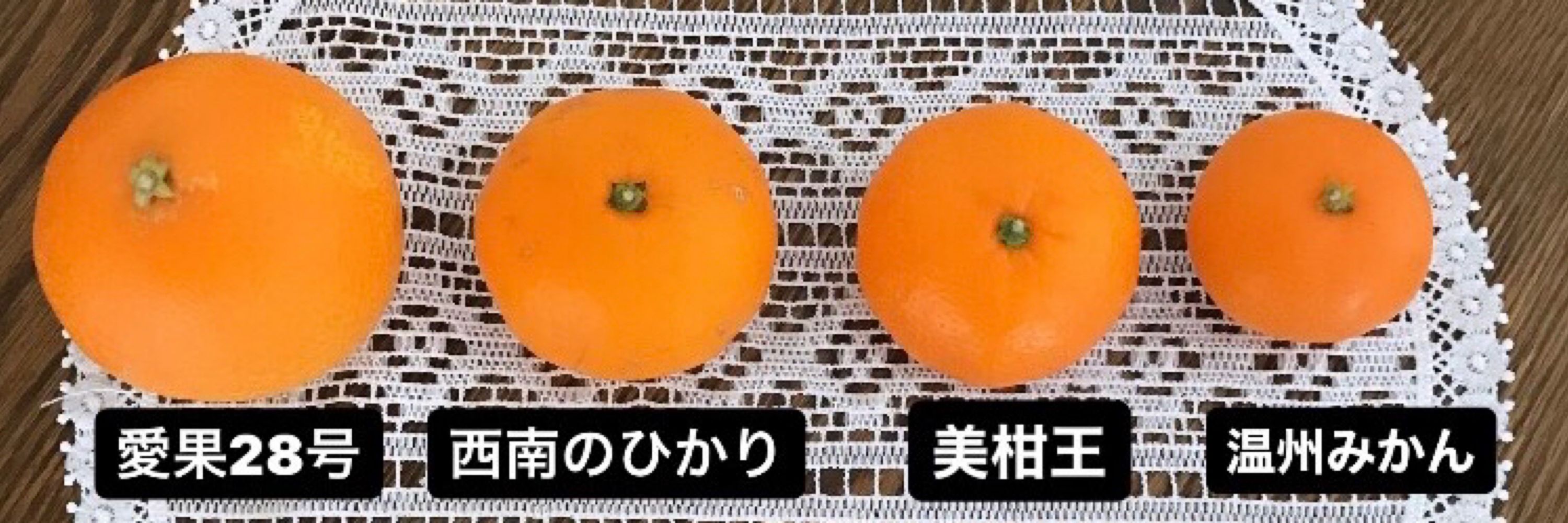 铃结