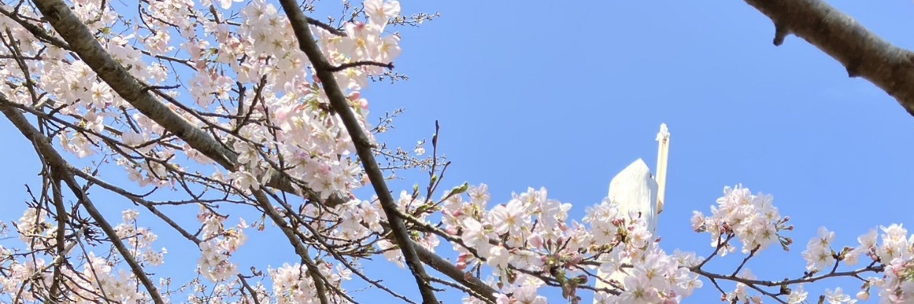 みっこ