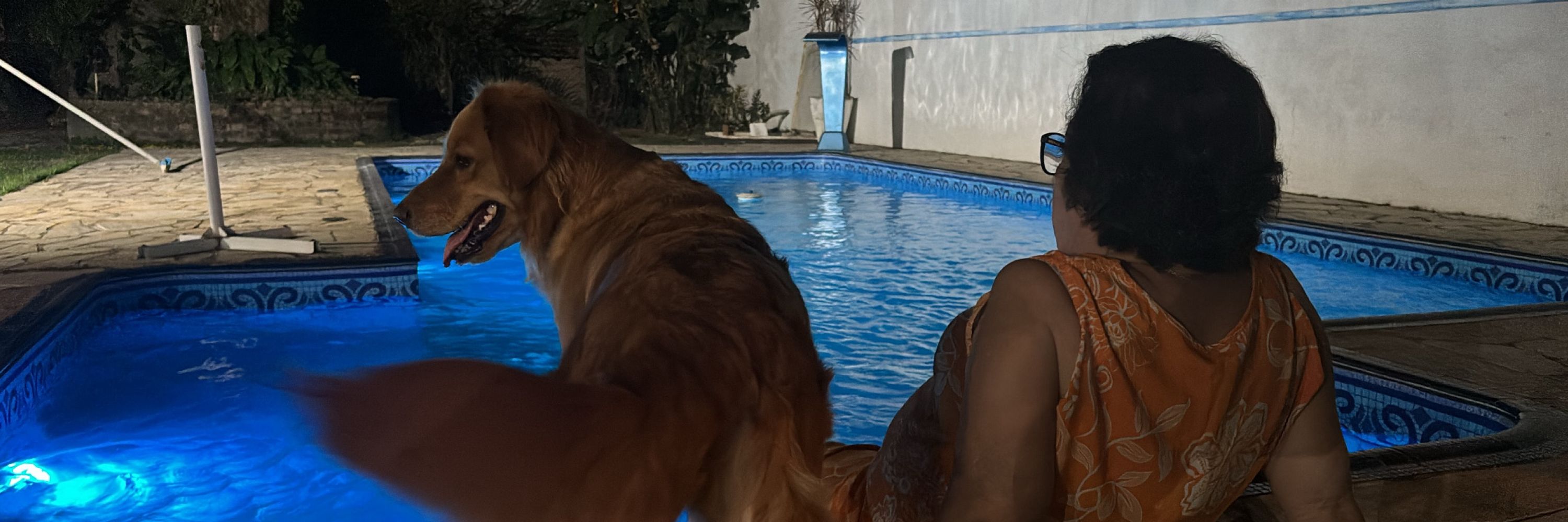 bebella cabeçuda 