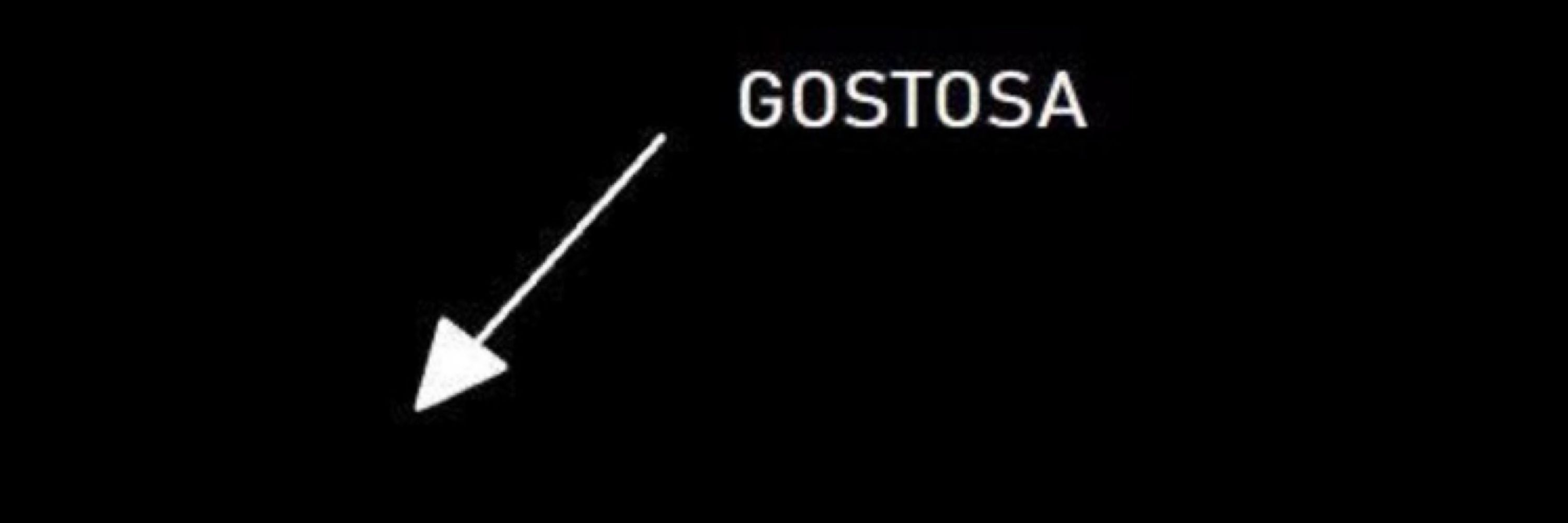 iisags._