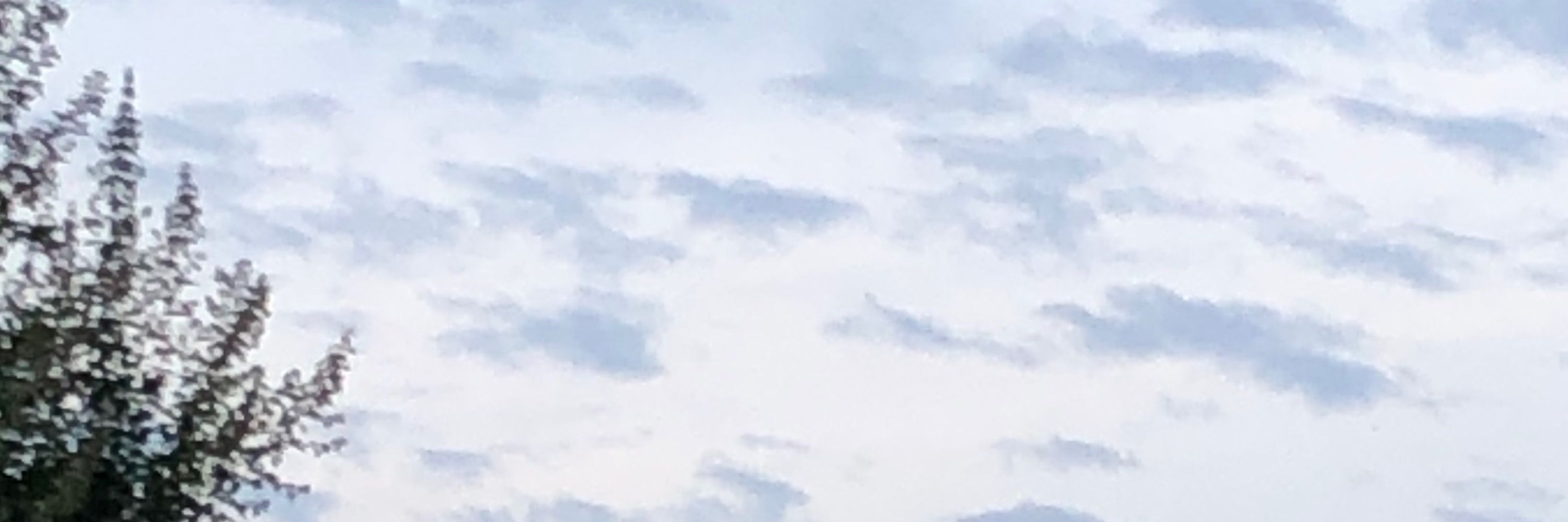 泥