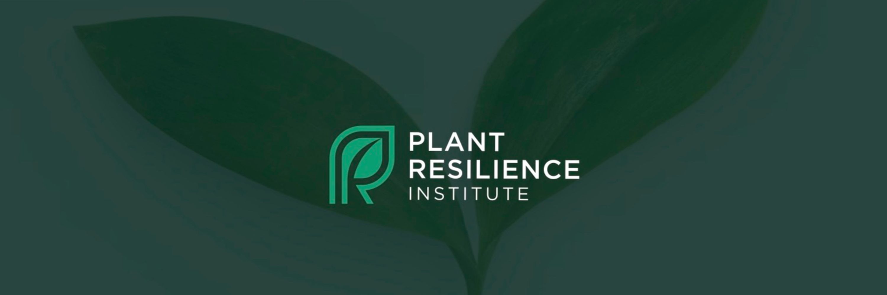 MSU Plant Resilience Institute