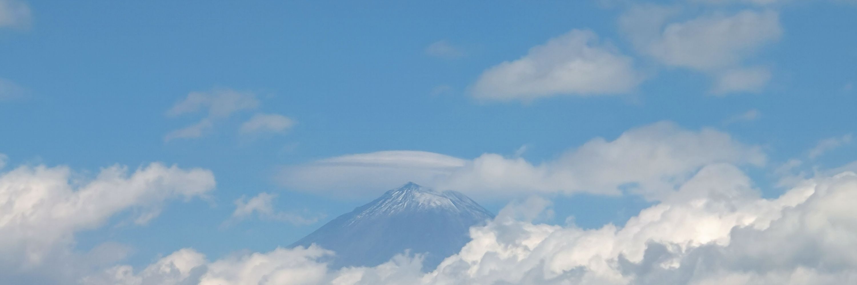 ぴよち