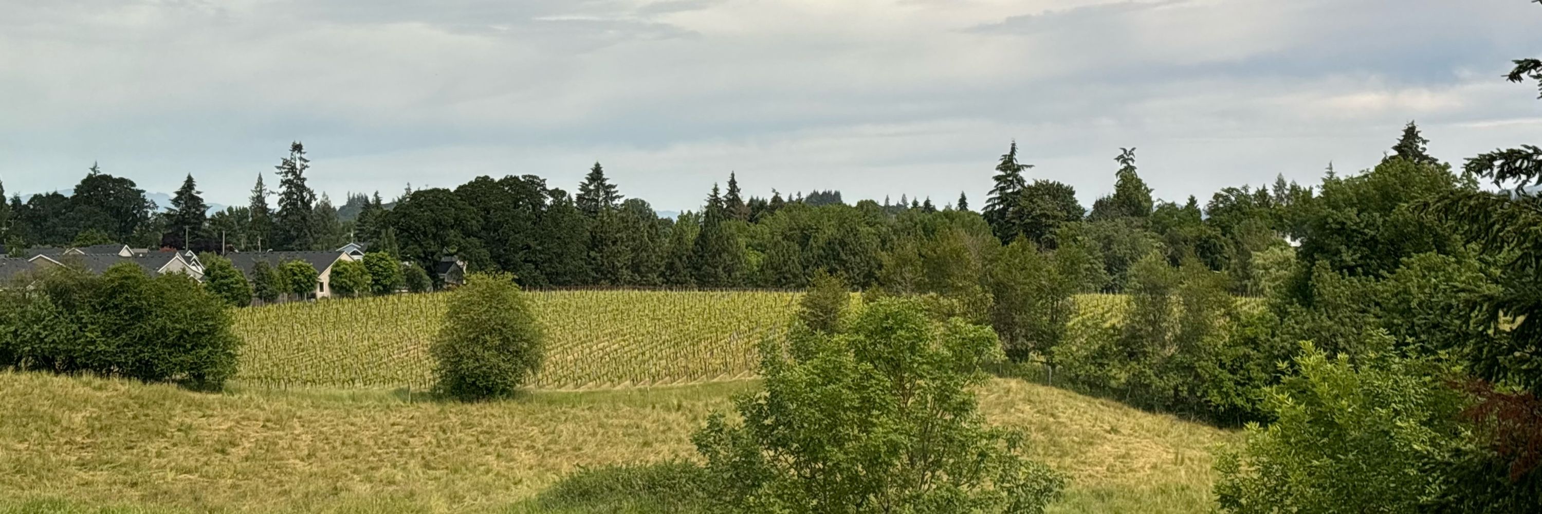 PDXPiff