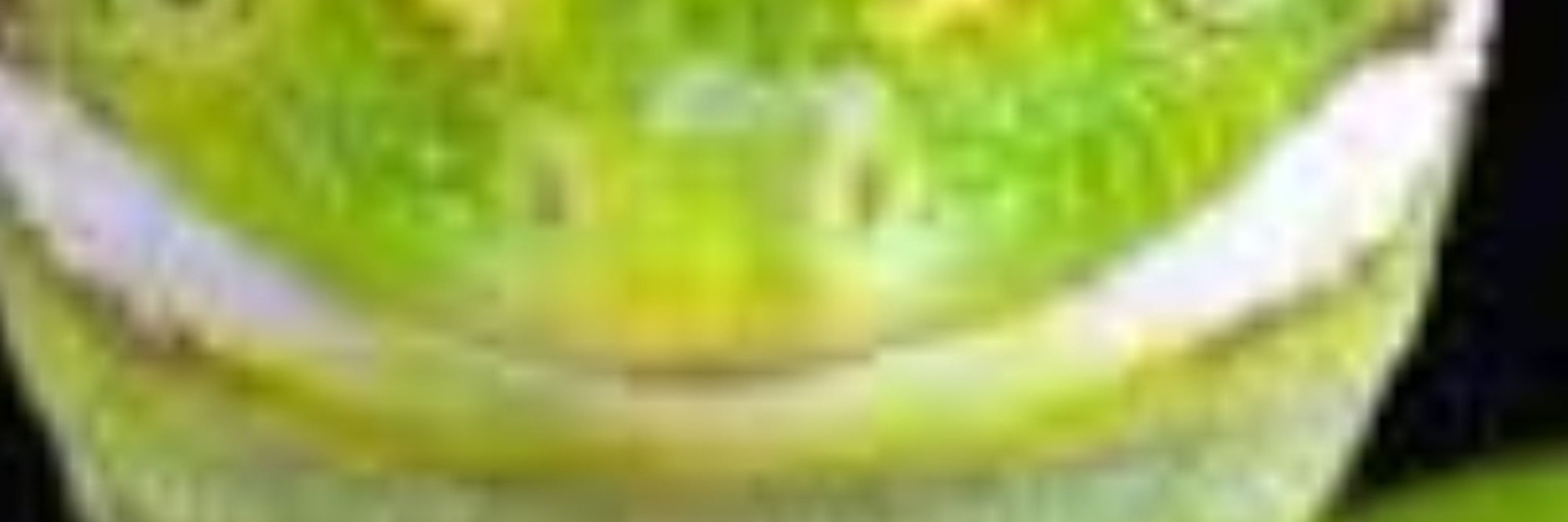 Autistic Gecko