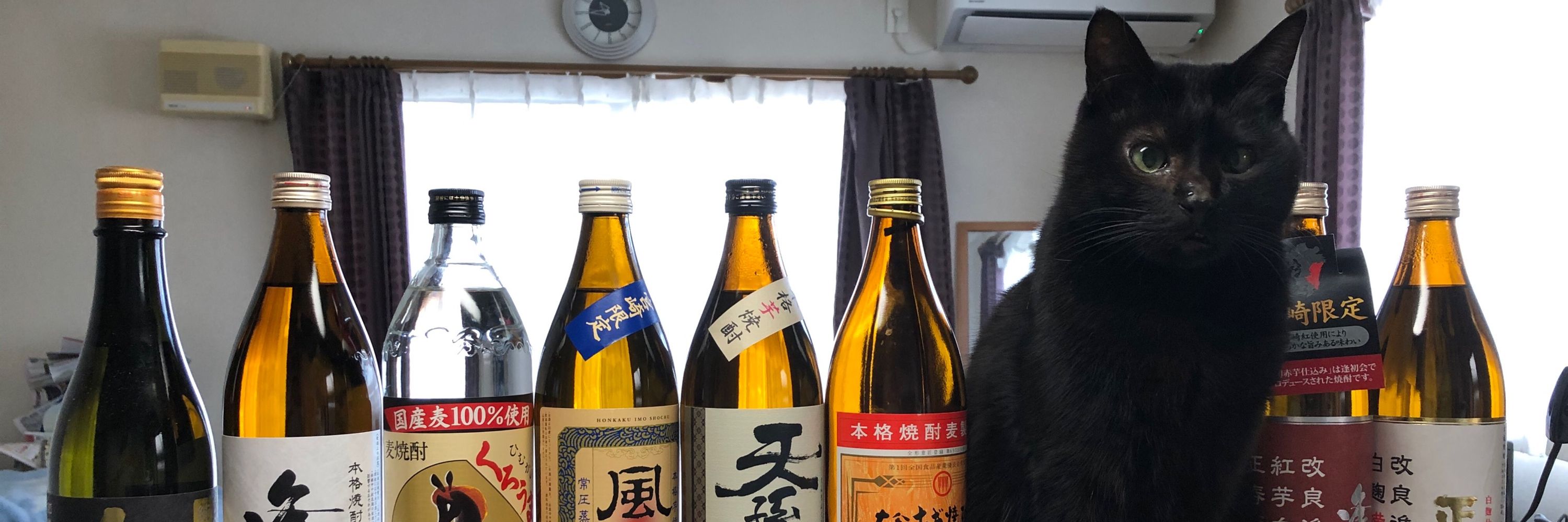 まっこい