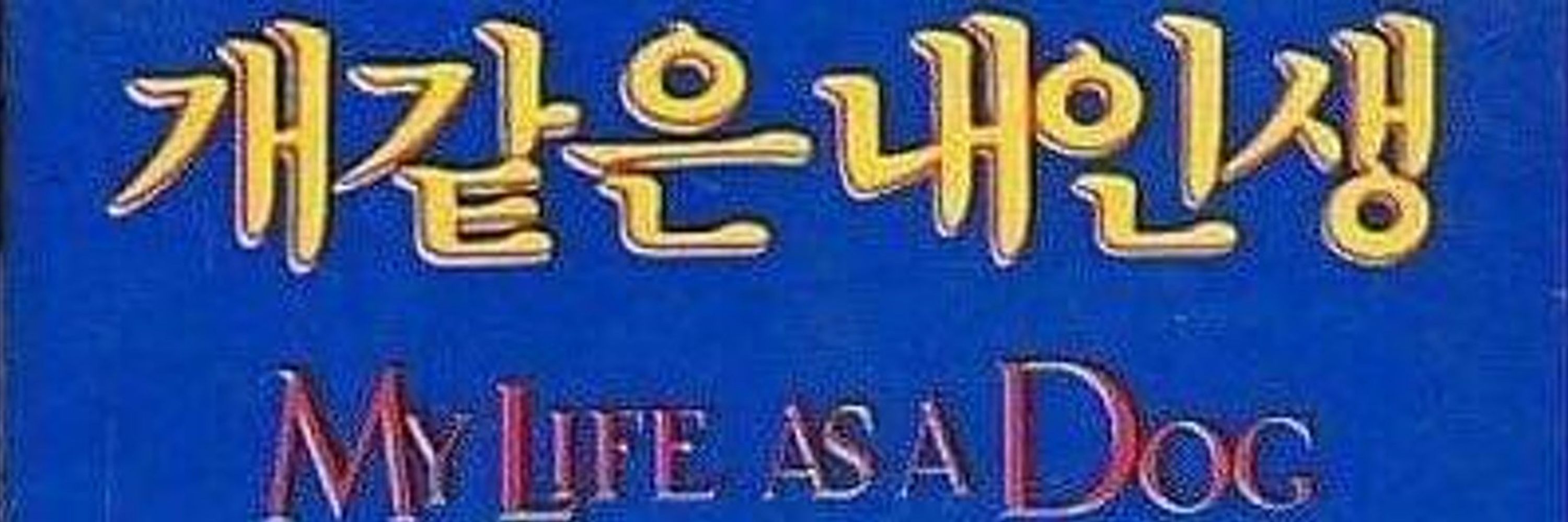 훔바