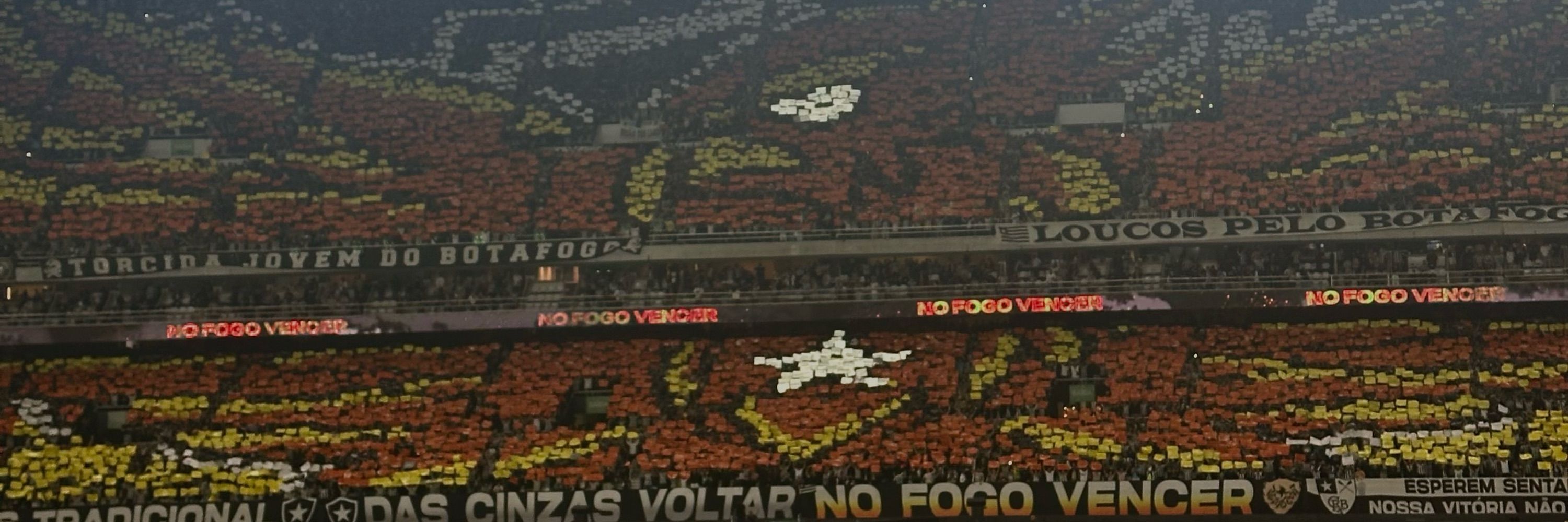 Pedro ★彡