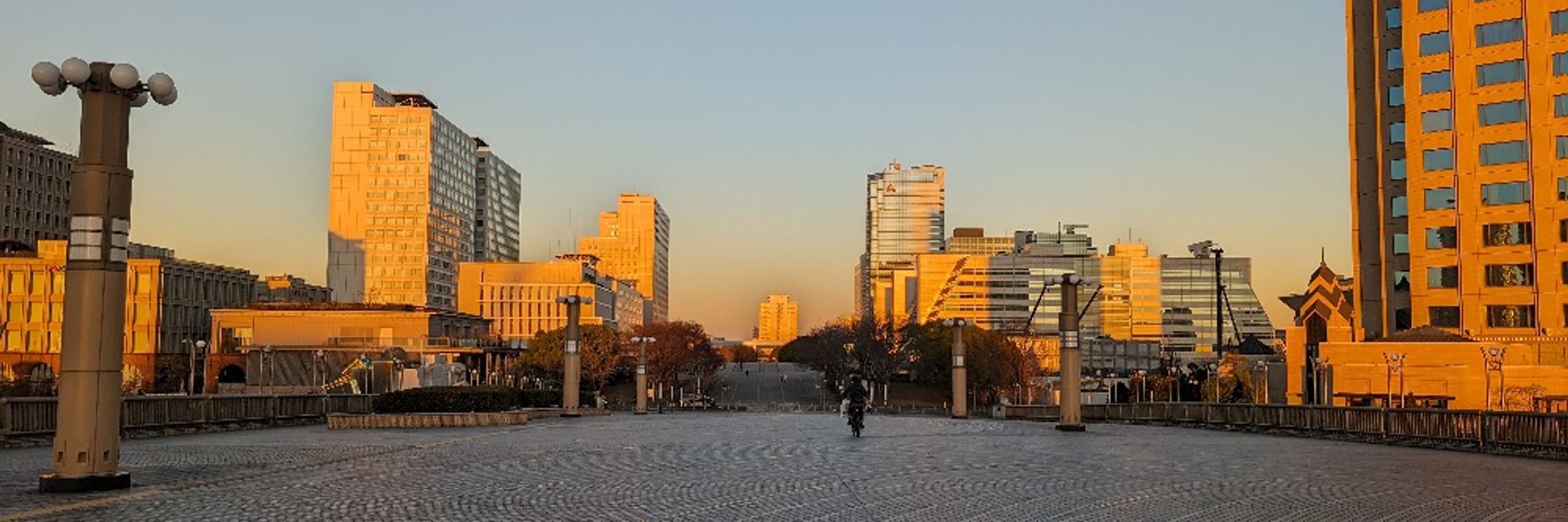 saketora