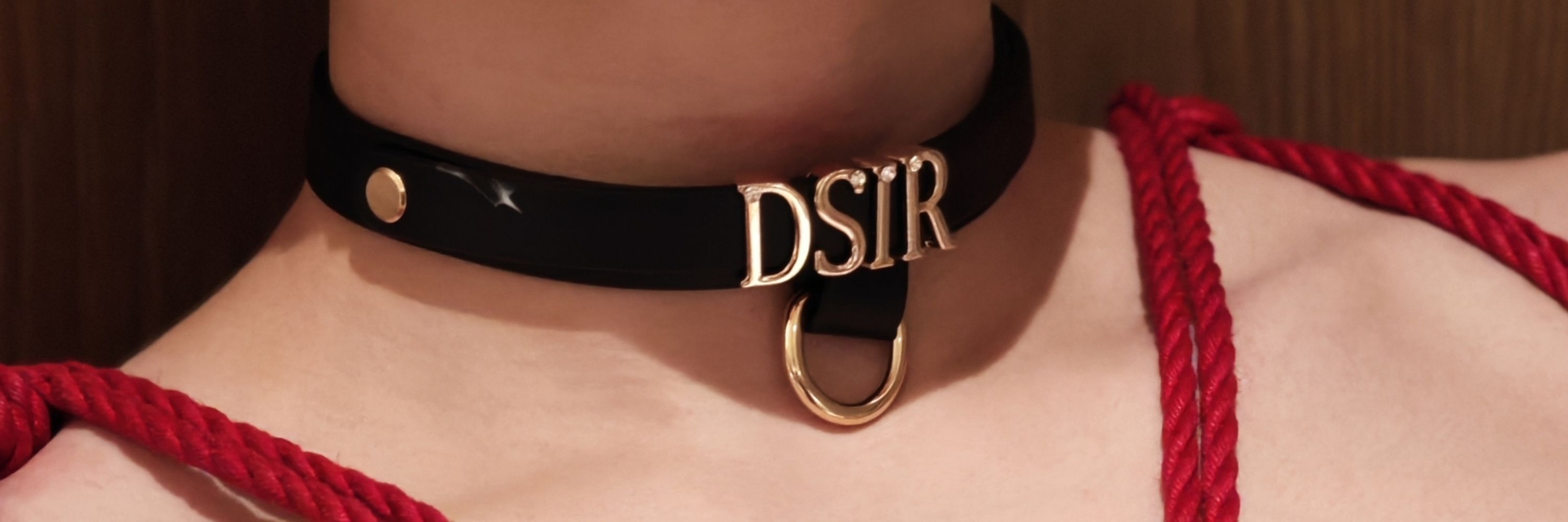 DSir工具人