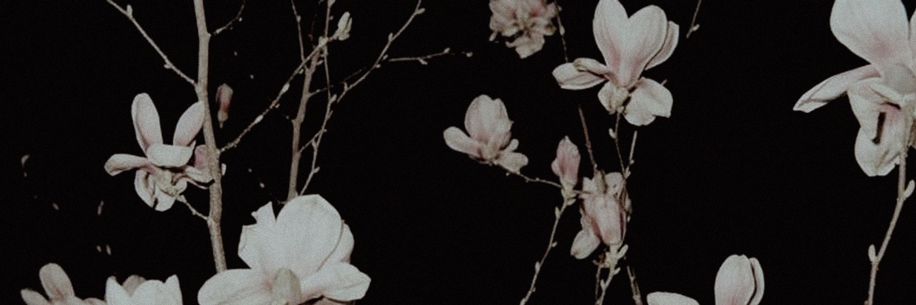 𝒍𝒆𝒃𝒍𝒂𝒏𝒄, 𝓯𝑟͟𝑎͟𝑛͟𝑐͟𝑒͟𝑠͟𝑐͟𝑎.