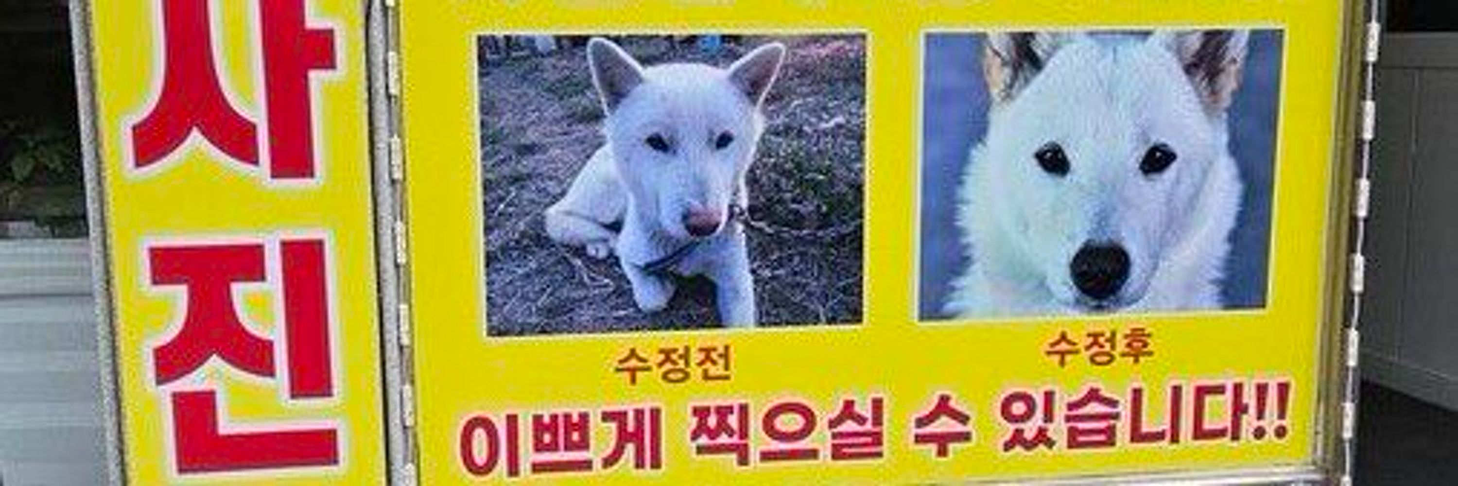 갈비