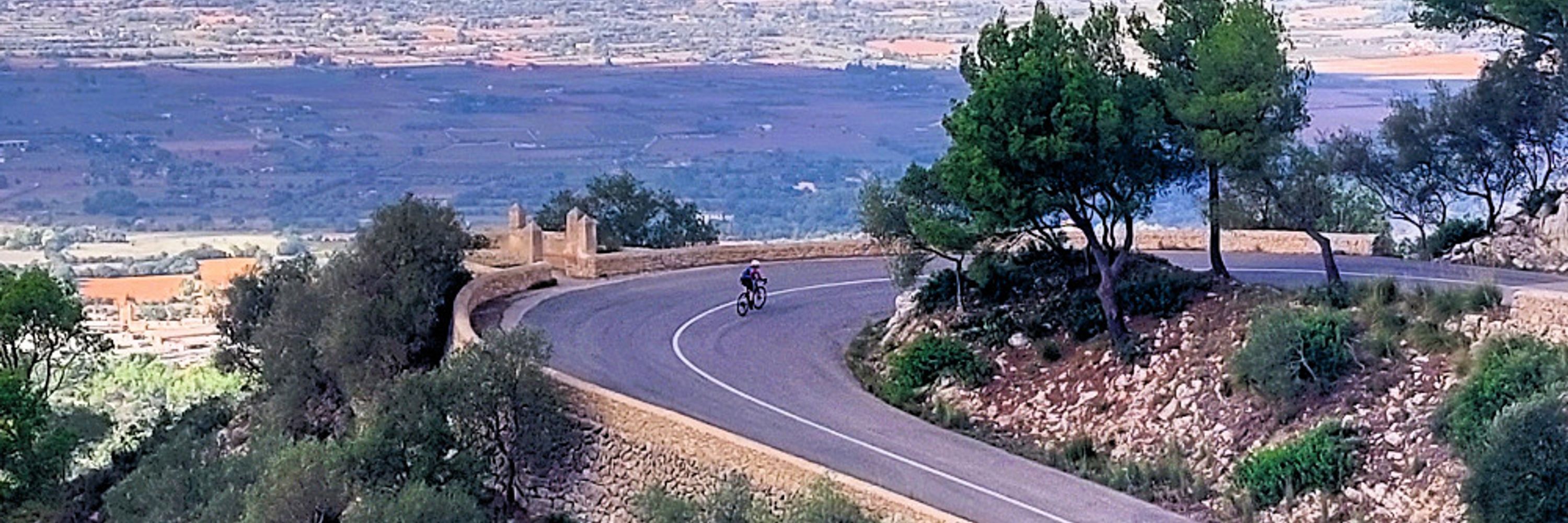 Ron Fietst