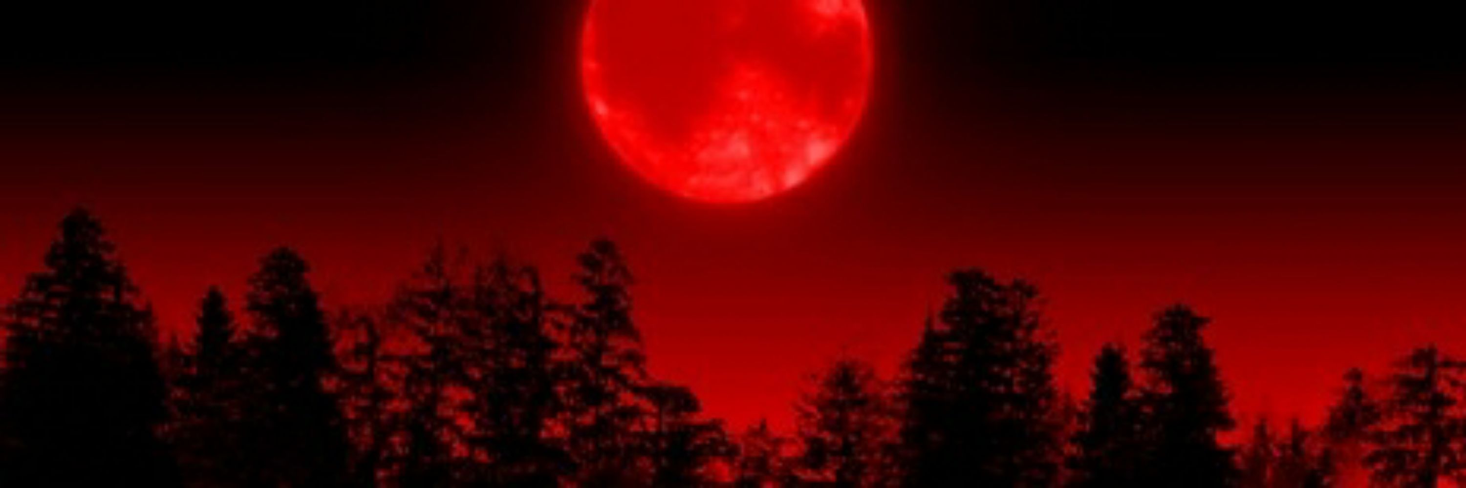 .・✭・🐺🌙𝕤𝕜𝕚𝕖𝕫 🥩🩸・✫。. 