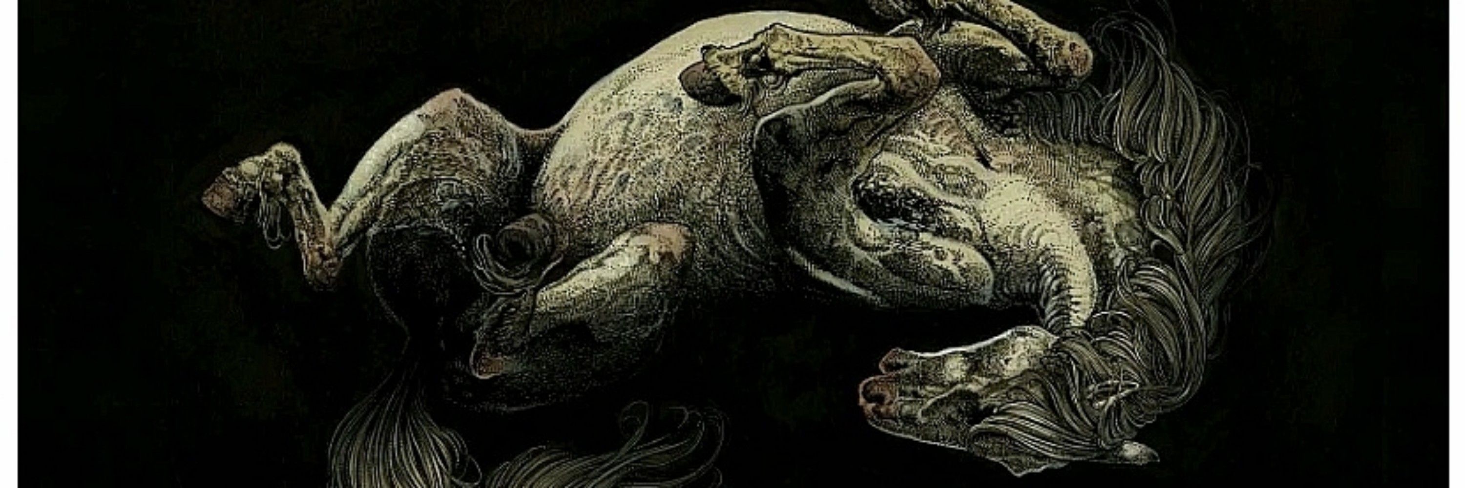 ᴢöᴇ🦂𝖔𝖗 3 𝖈𝖆𝖙𝖘 𝖎𝖓 𝖆 𝖙𝖗𝖊𝖓𝖈𝖍𝖈𝖔𝖆𝖙