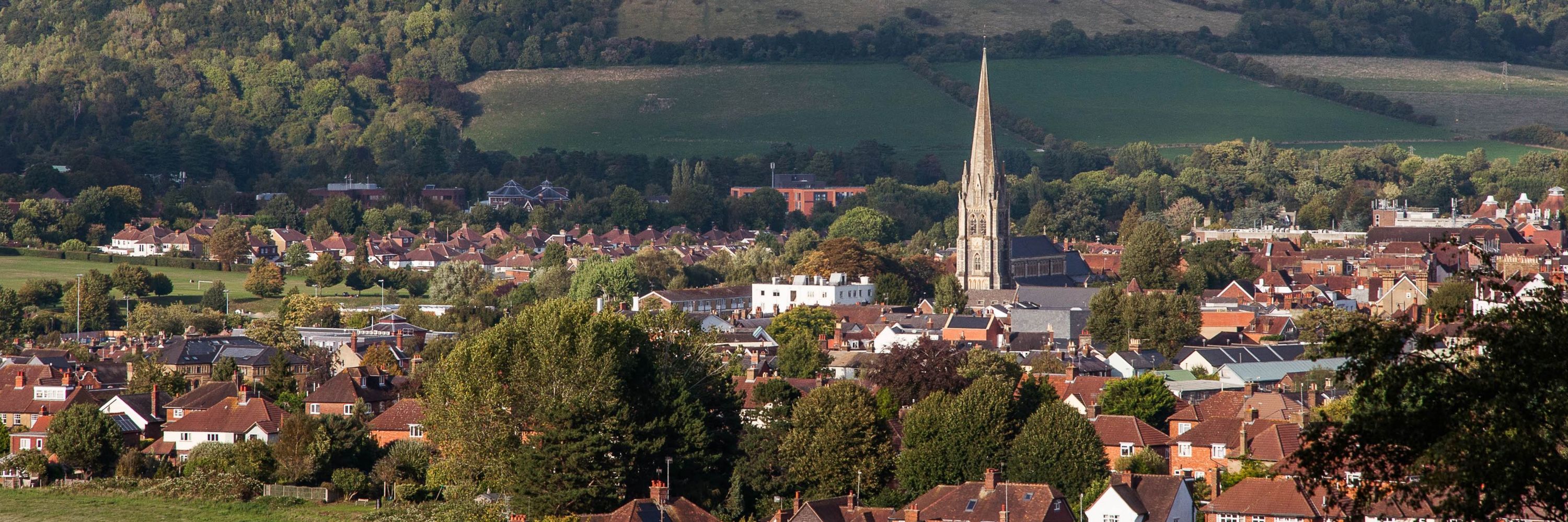 Mole Valley District Council