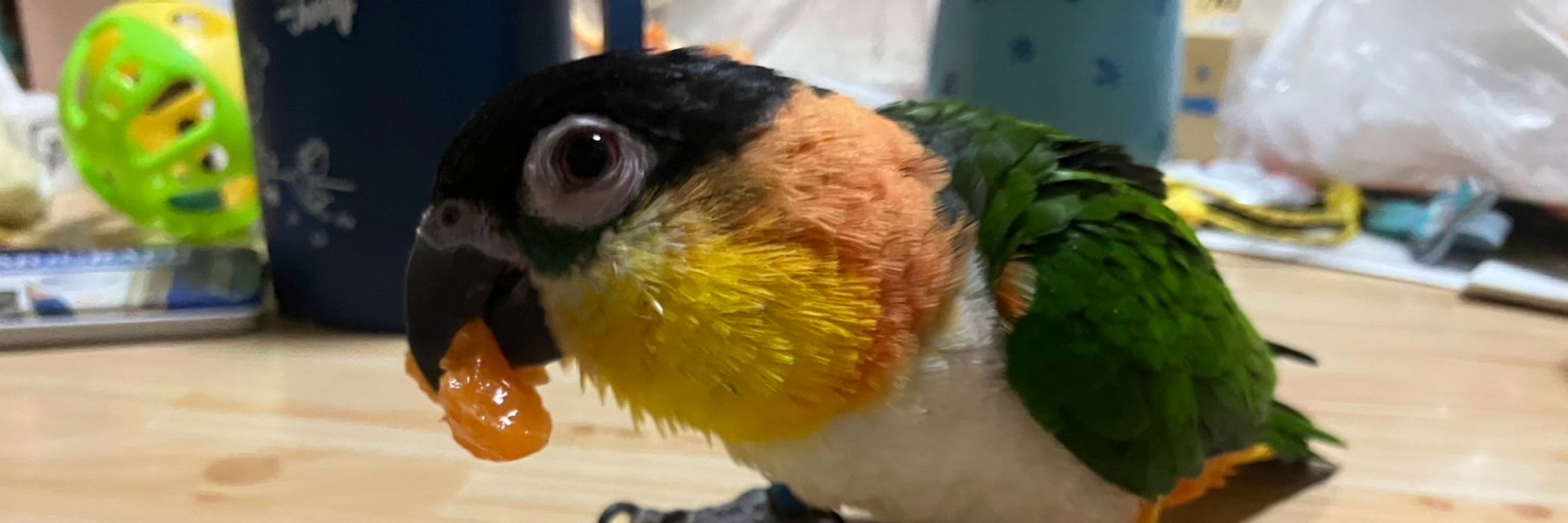 ひろまる☆