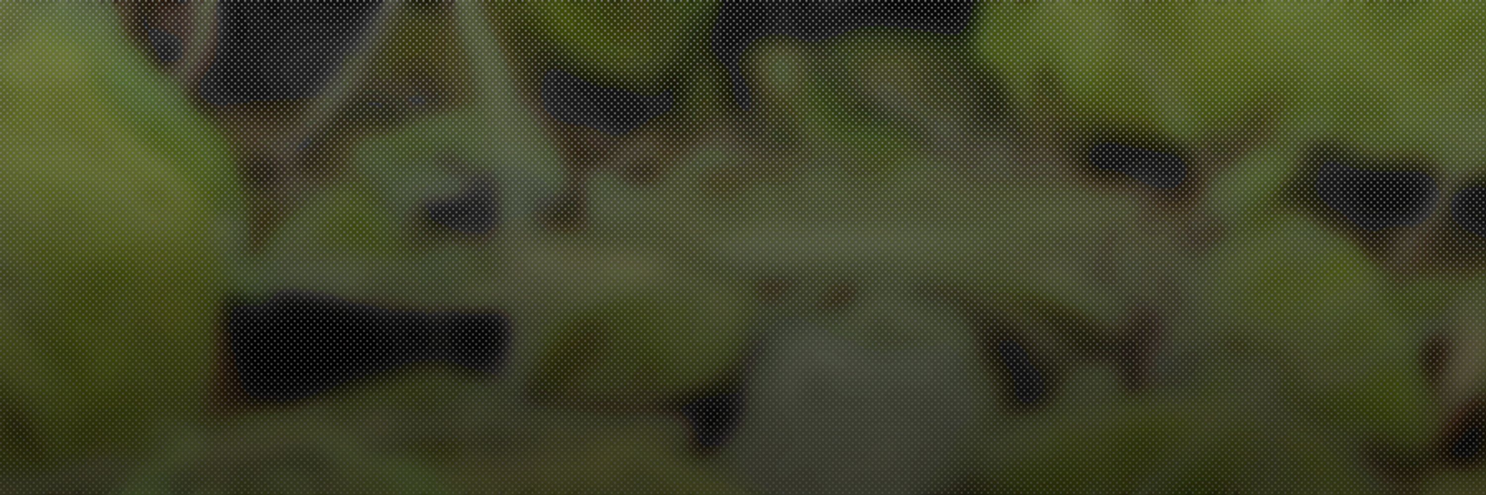 𝔤𝔢𝔩𝔣𝔦𝔢𝔰