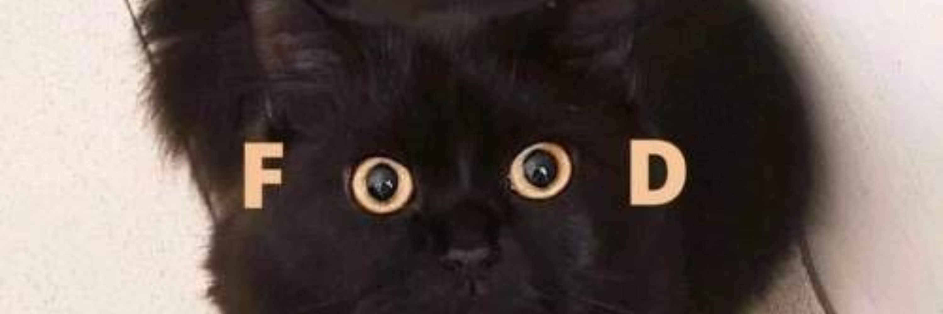 vic