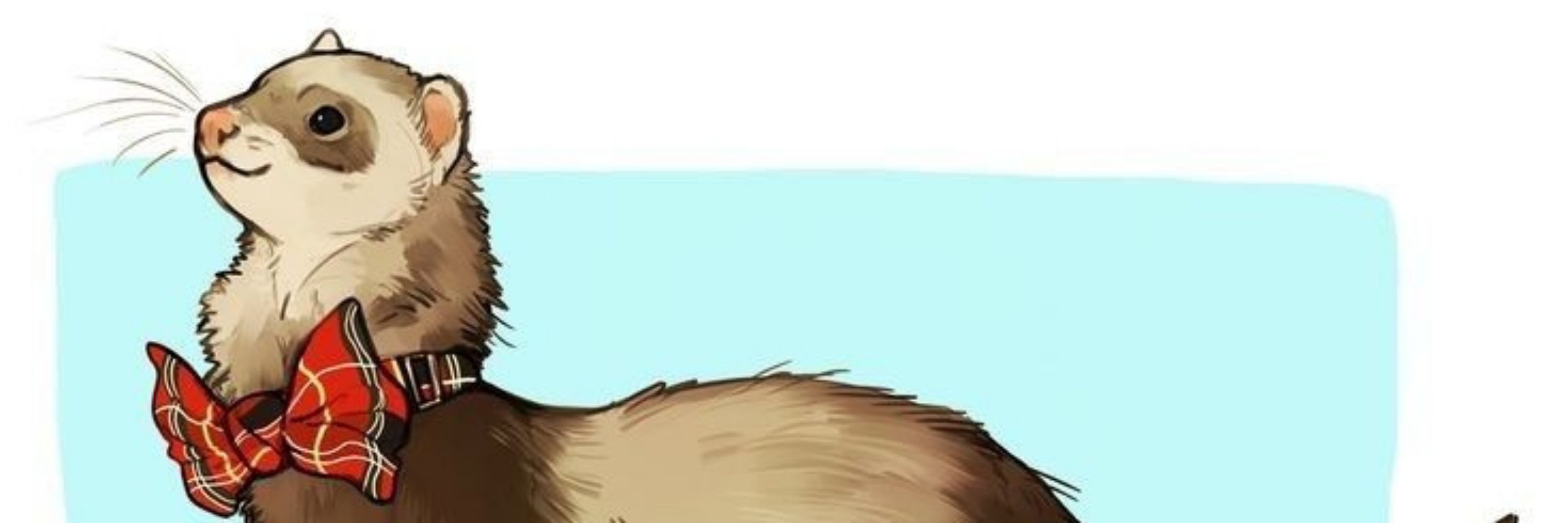 Jack_Ferret