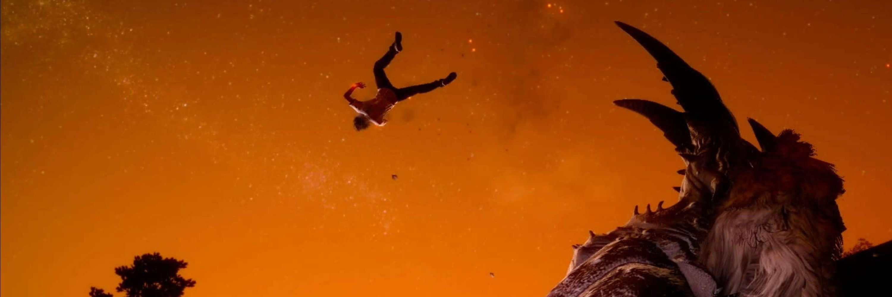 The Sky Wanderer