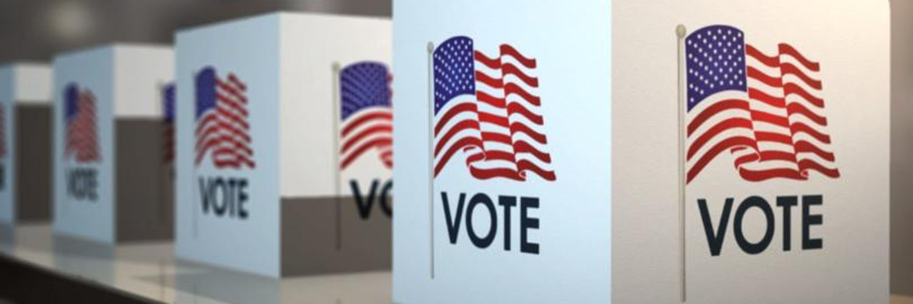 Voter Action Project