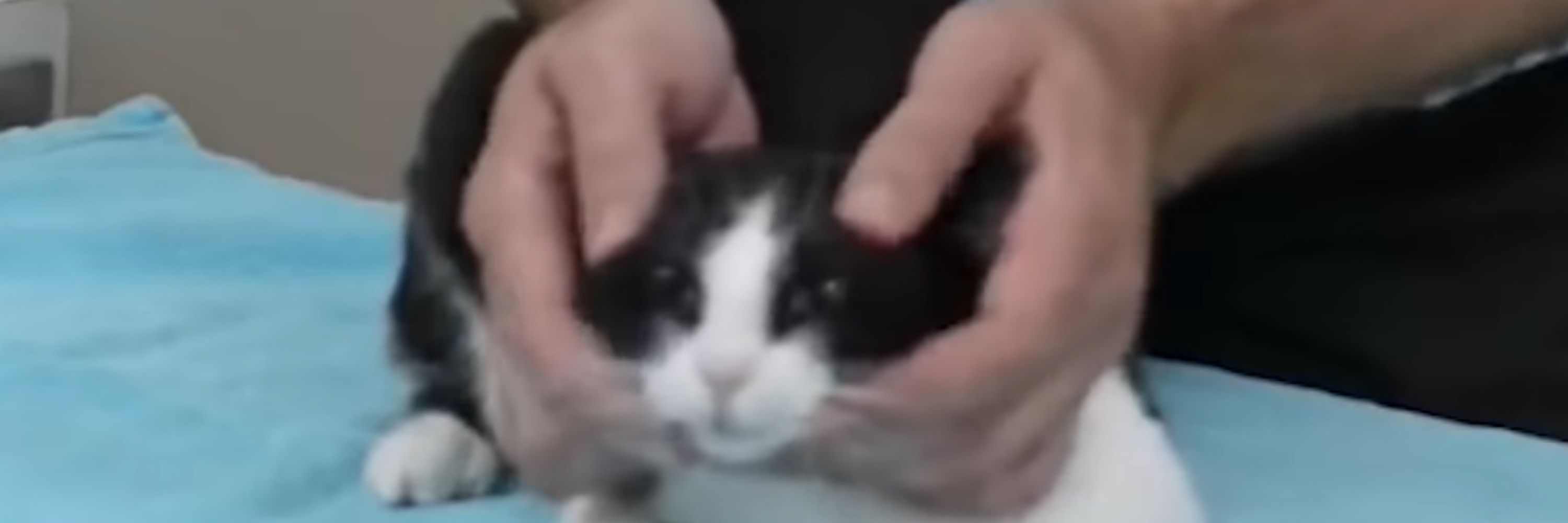 いきる