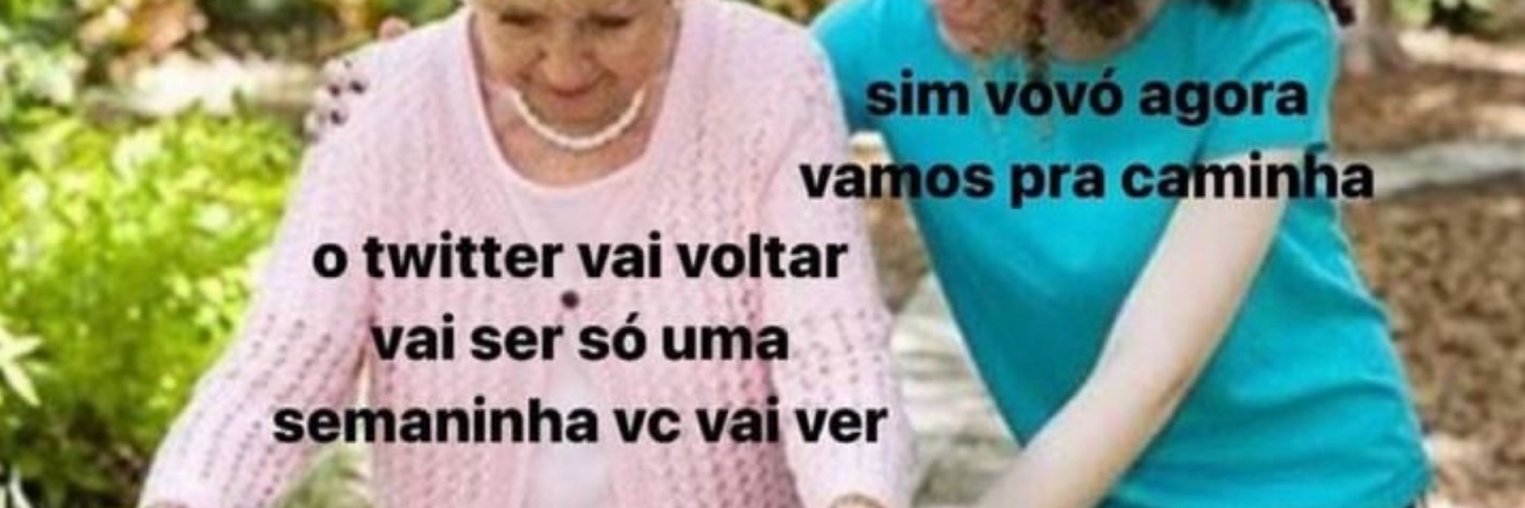 Jabucréia do Kuzco 