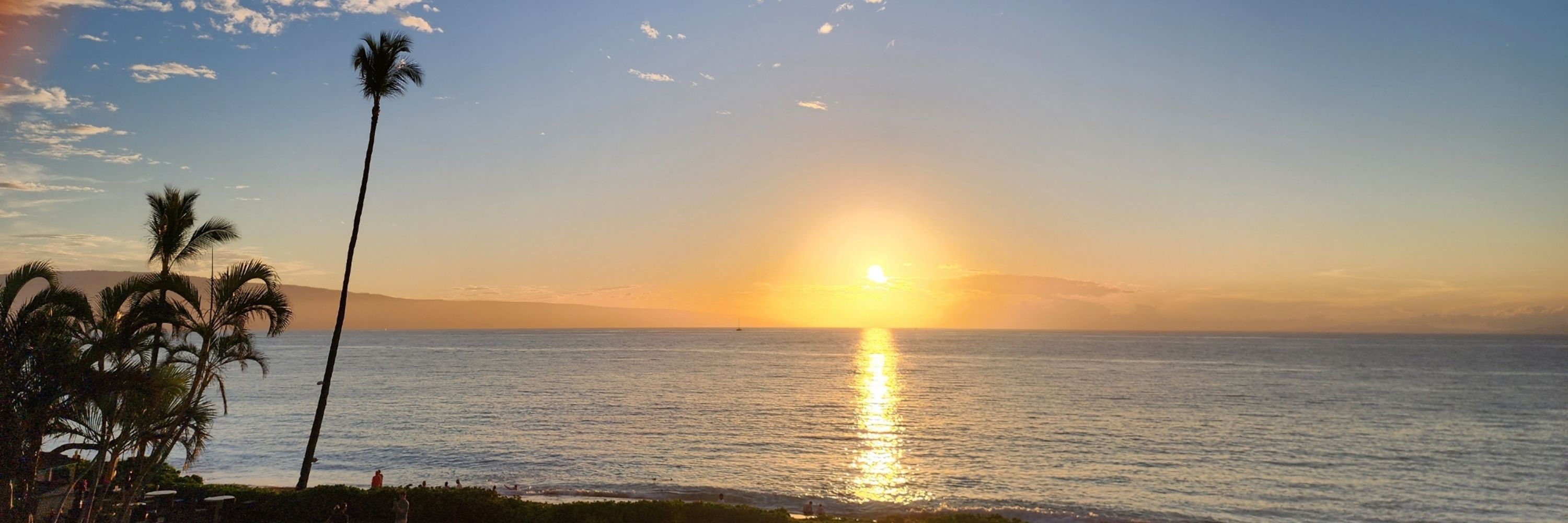Ho'okipa Honu