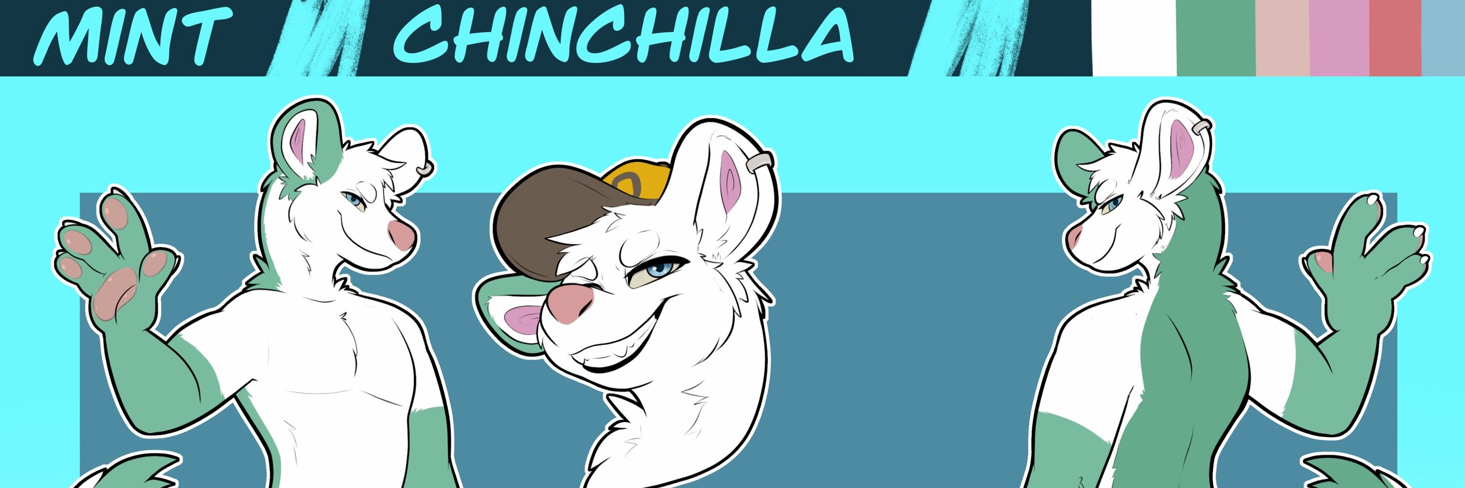 Mint The Chinchilla
