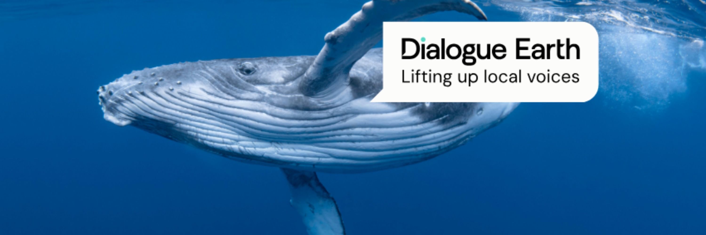Dialogue Earth