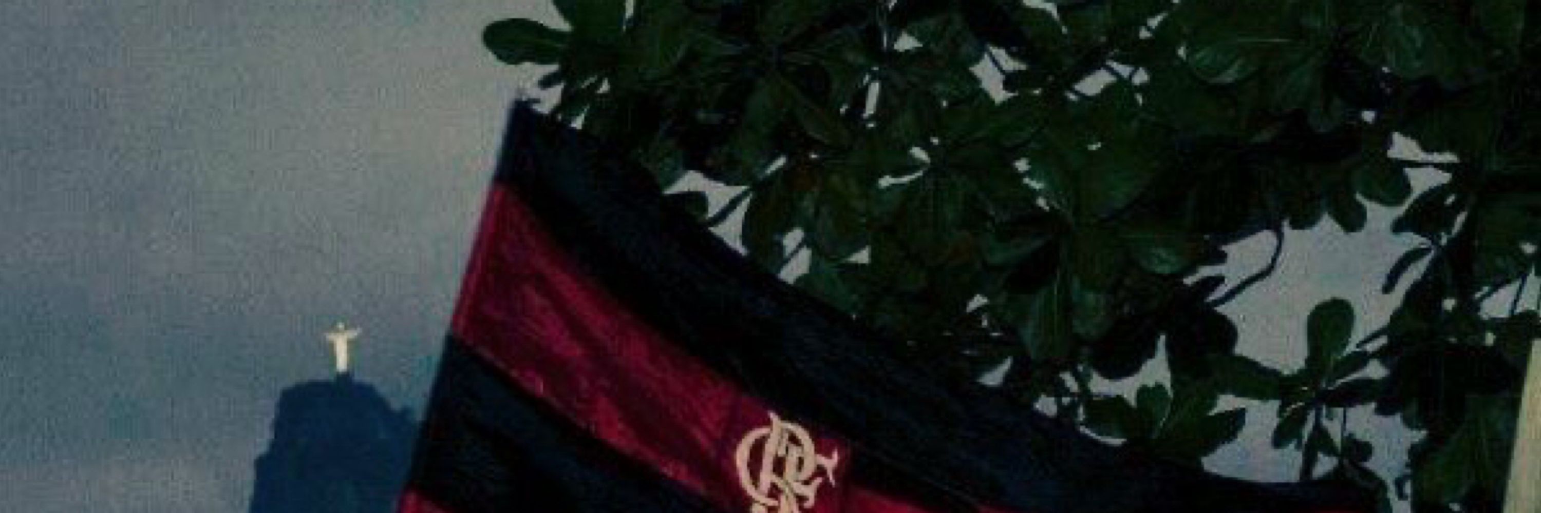 Camis_ng