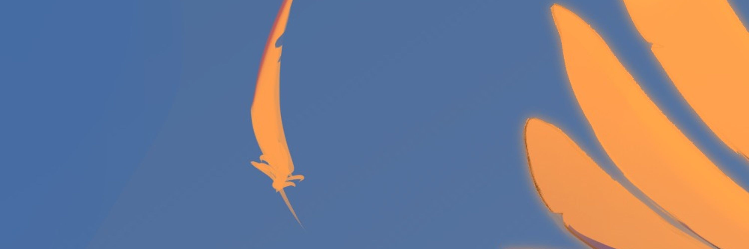 Isa