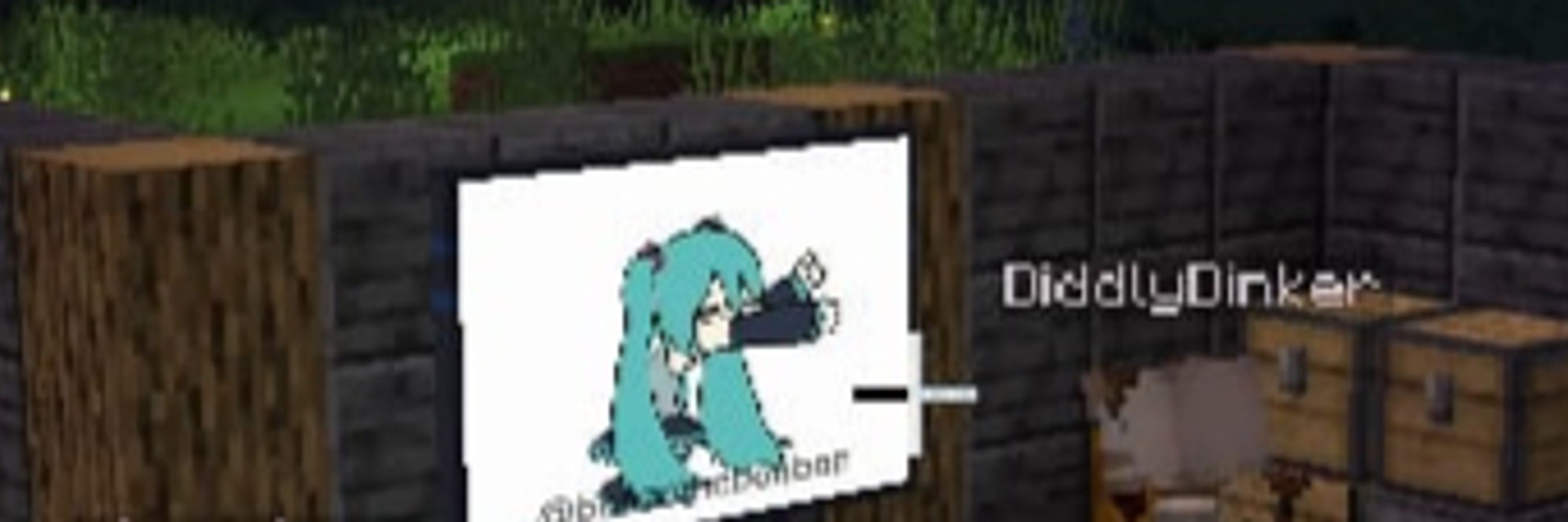 The DiddlyD