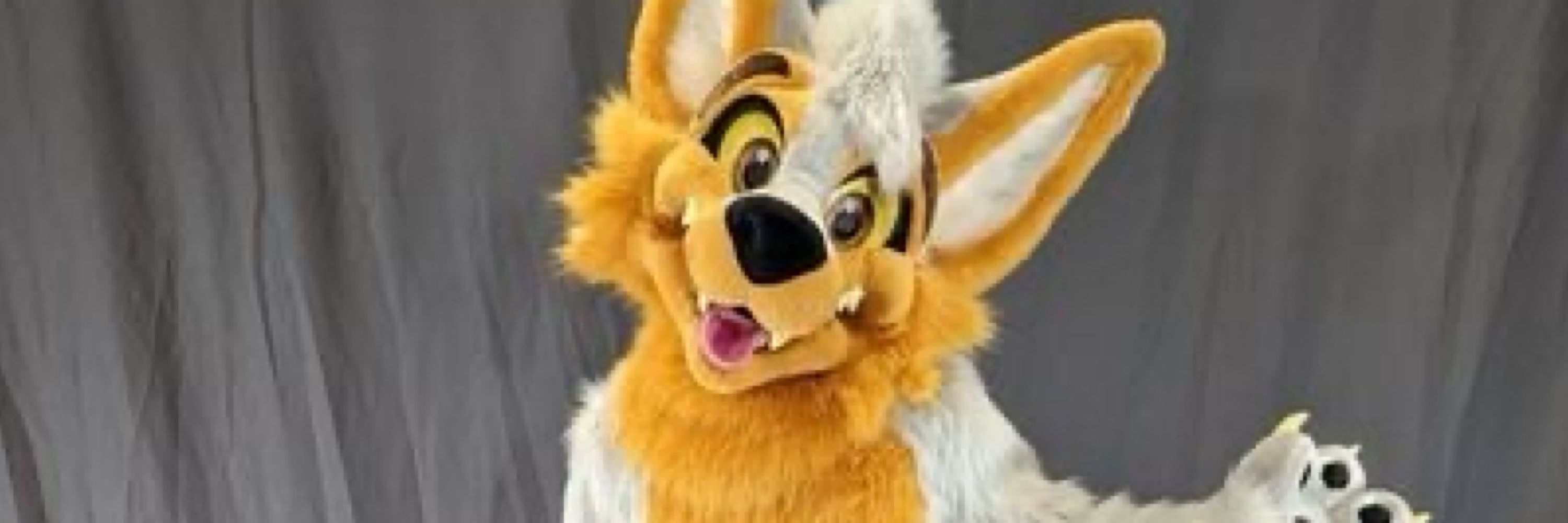 Sniff Coyote