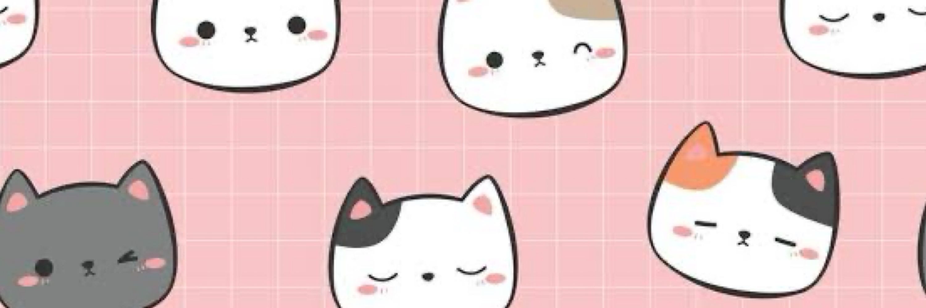 Kittysky 🐱☁️