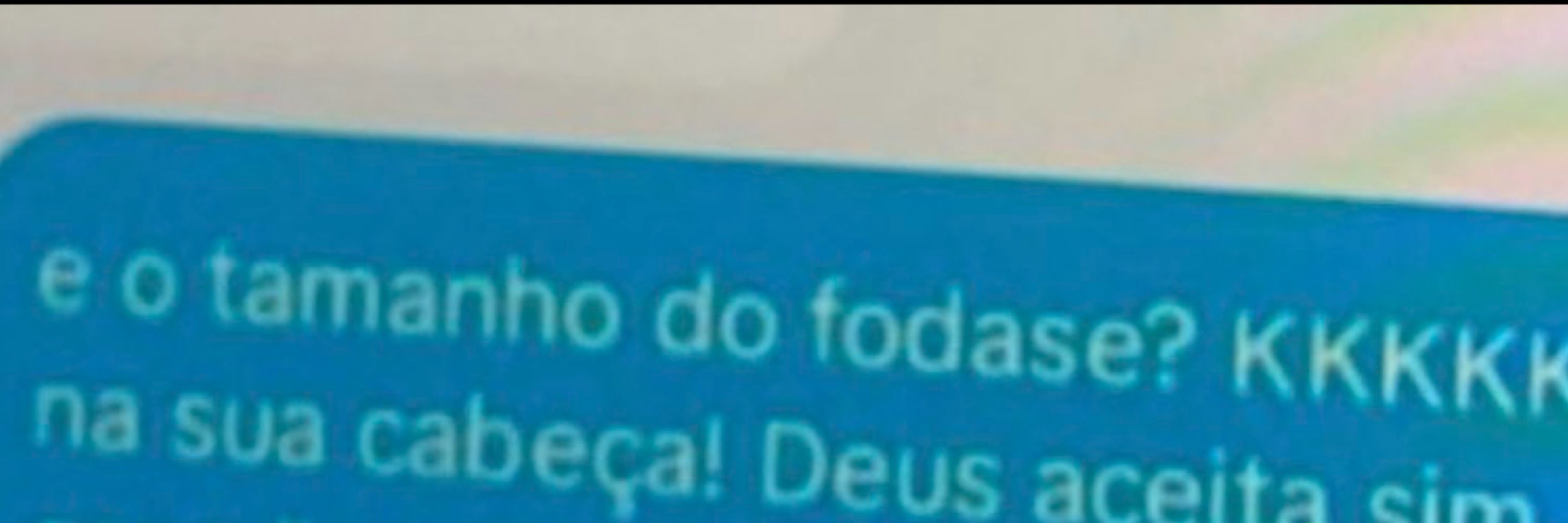 anna tubarão 
