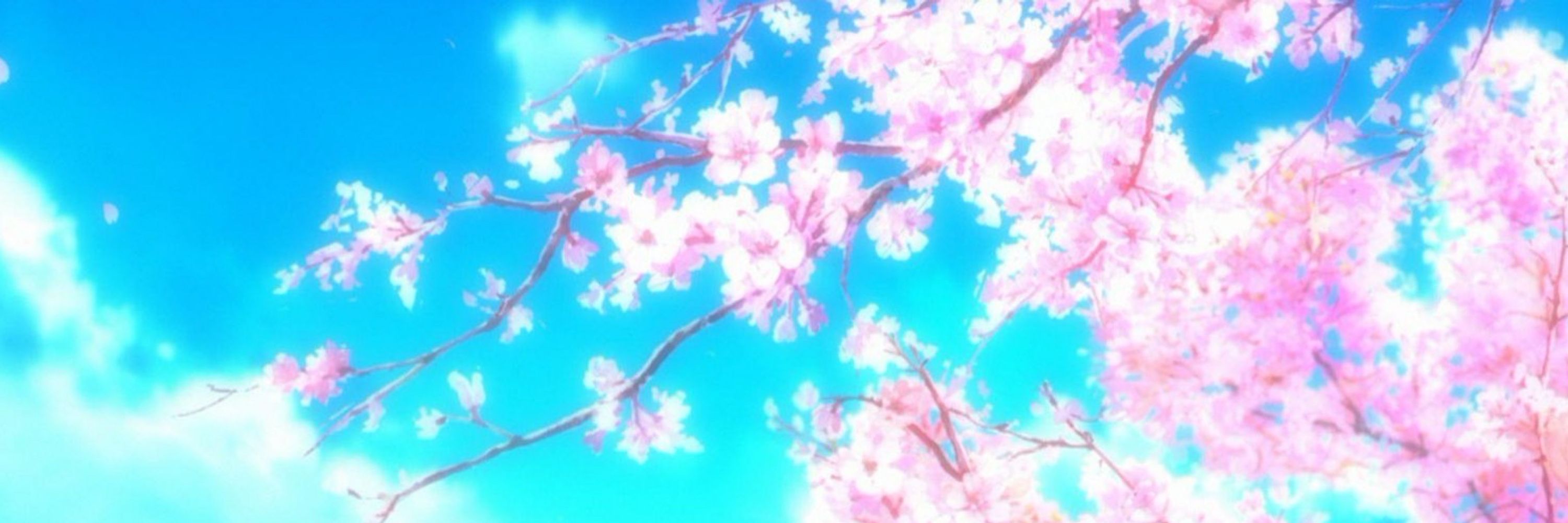 🌸Pastel Sakura🌸