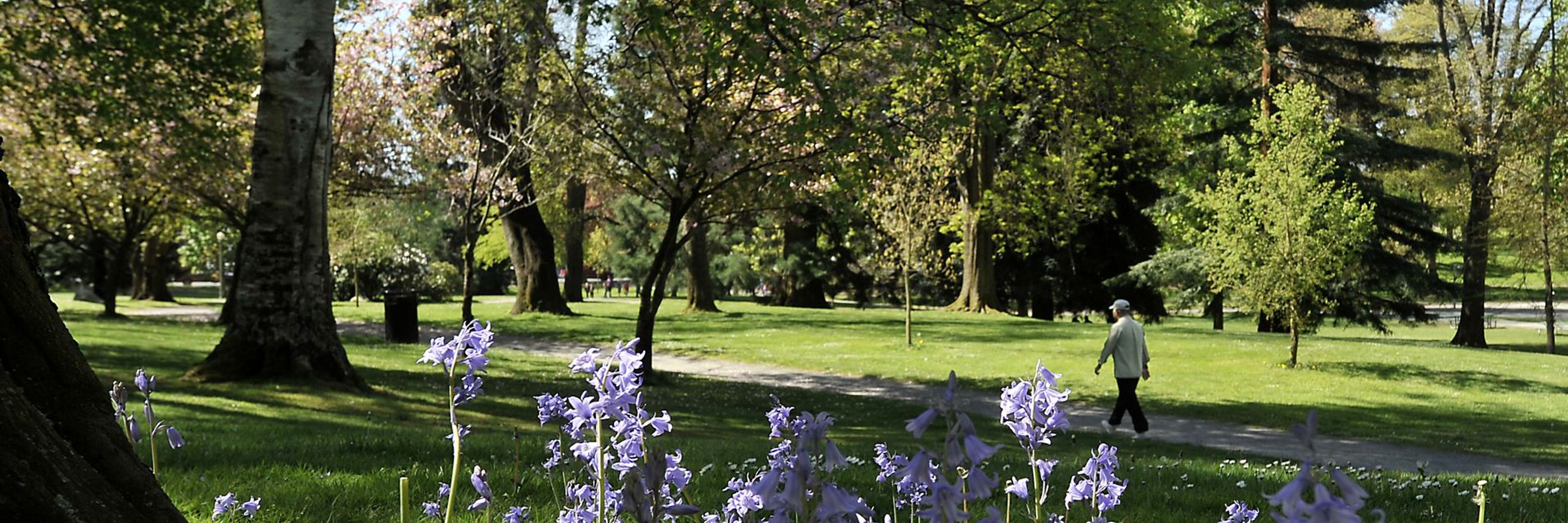 Parks Tacoma