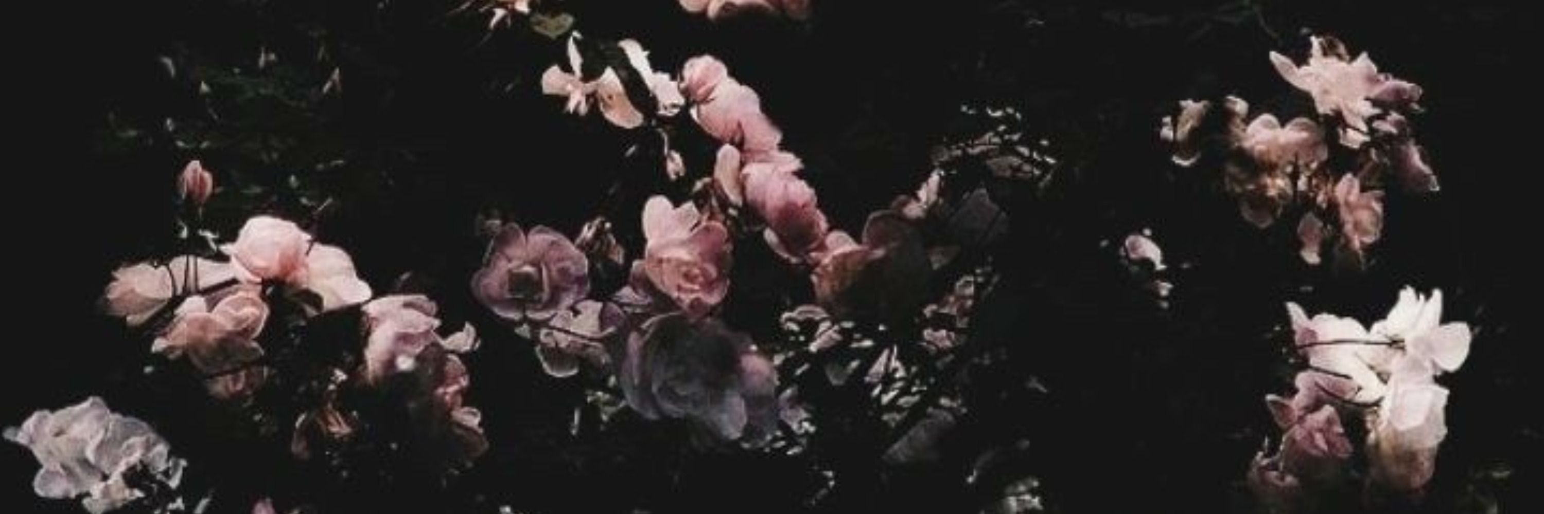night-blooming🐍🌸