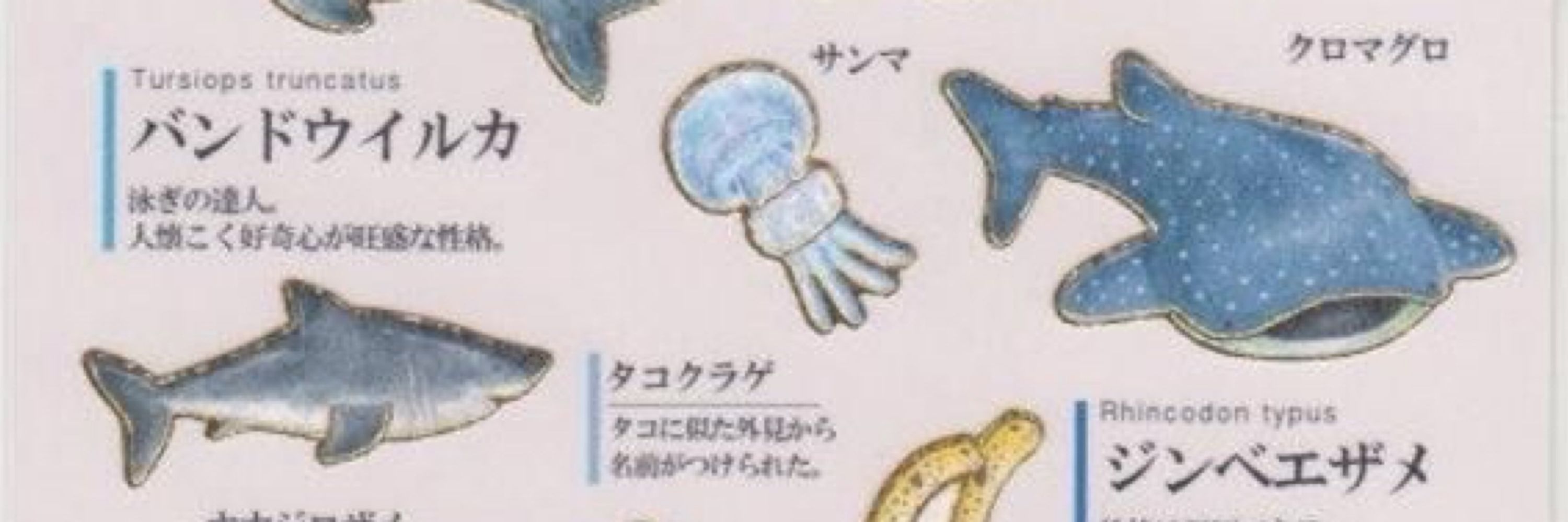lys(･_･;