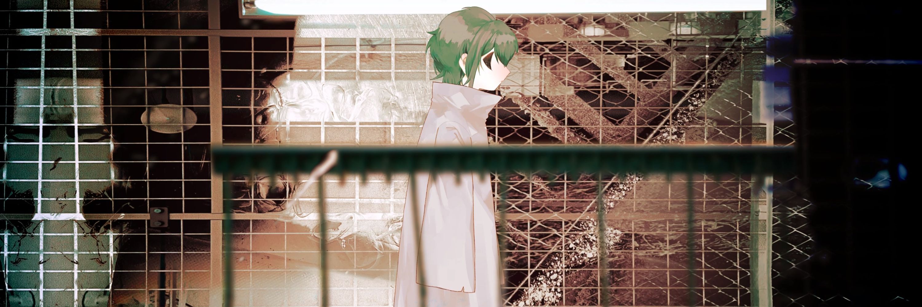 ふたか