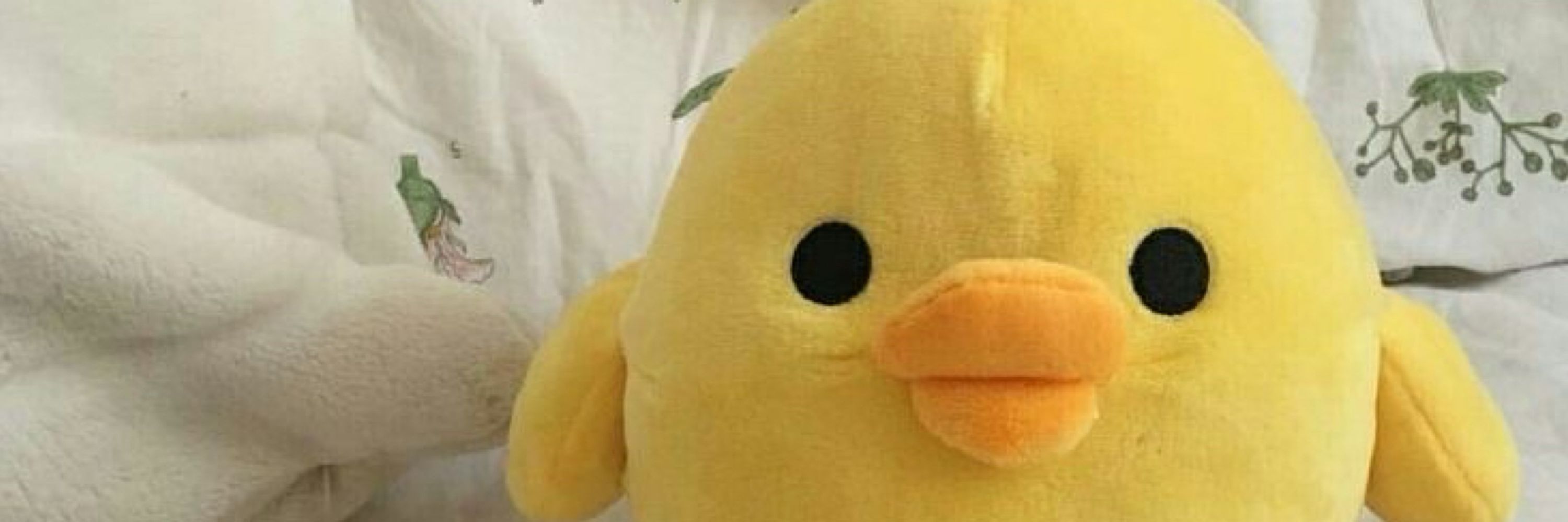 Kiiroi-The DUCK 🌟🌻